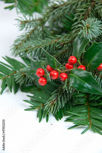 Fir and christmas decoration