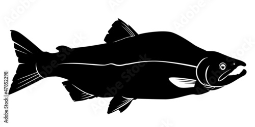 salmon vector silhouette