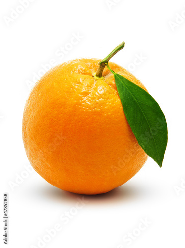 Fresh Illuminated Orange Fruit