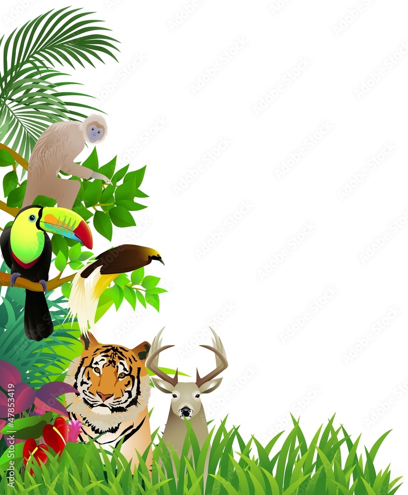 Wild animal in the jungle background Stock Vector | Adobe Stock