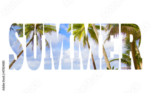 summer concept on palm trees over sky and sea background