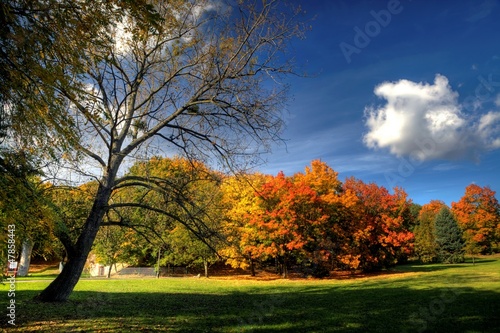 autumn in Poland