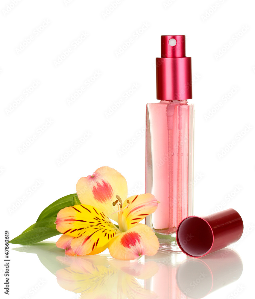 Women's perfume in beautiful bottle with flower isolated Women's perfume in beautiful bottle with flower isolated
