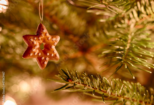 Lebkuchen-Stern im Weihnachtsbaum