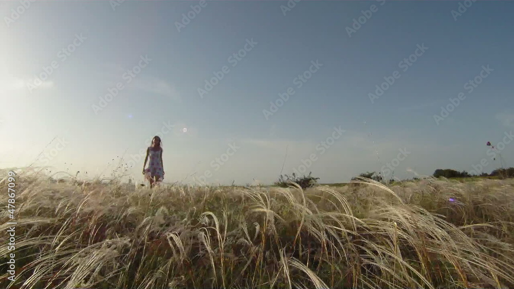 Woman walking across a field of feather grass Woman walking across a field of feather grass