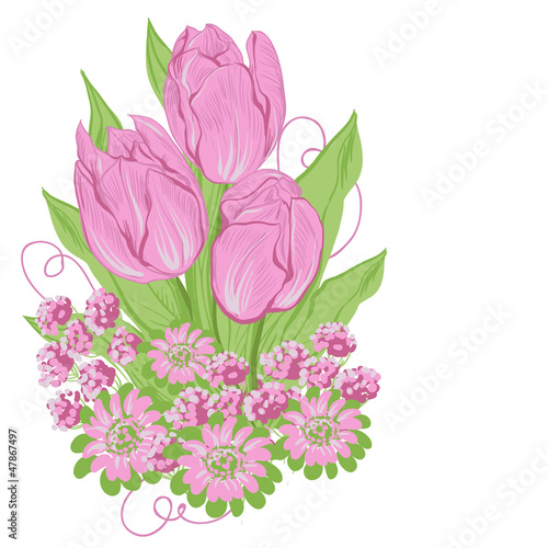 Fototapeta Naklejka Na Ścianę i Meble -  Design of vector tulips. (Flower background)