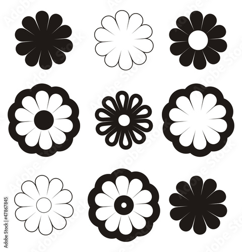 Illustrated flowers