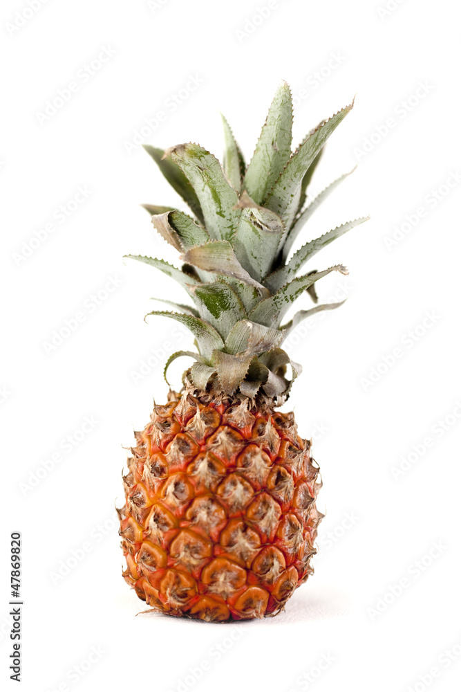 Fototapeta premium ananas