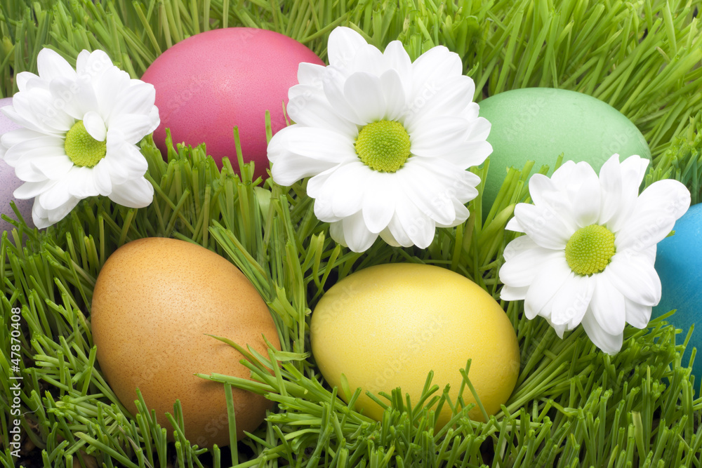 Easter eggs with daisy on abstract green grass Easter eggs with daisy on abstract green grass