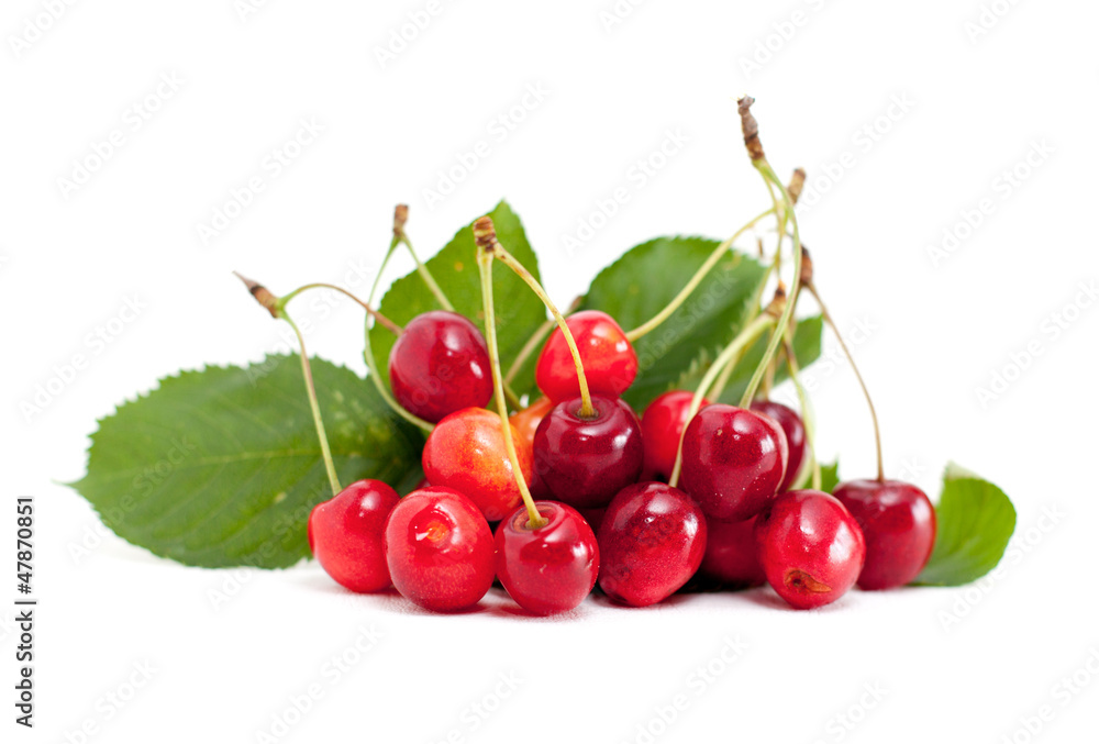 cerises cerises