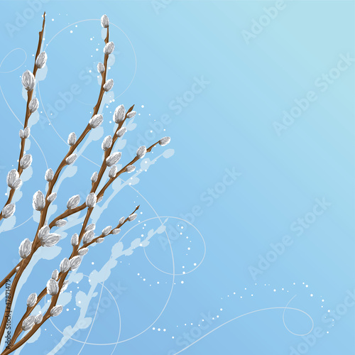 Pastel background with pussy willow