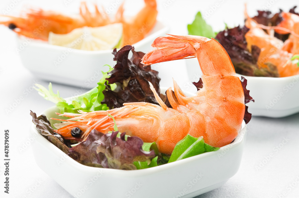 Shrimp Salad Shrimp Salad