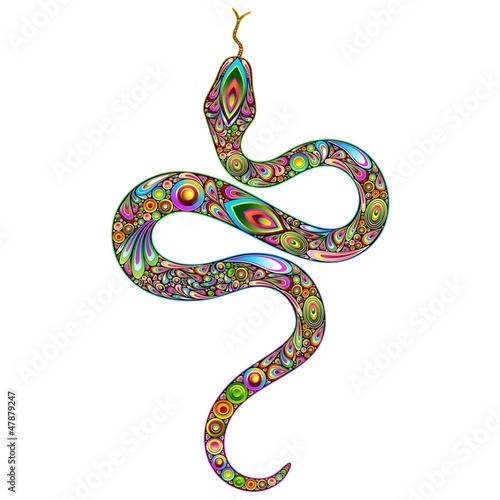 Snake Psychedelic Art Design-Serpente Psichedelico Arte Grafica photo