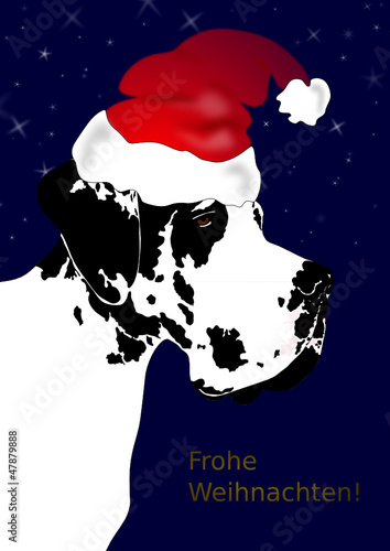 Deutsche Dogge als Weihnachtshund