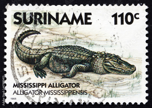 Postage stamp Suriname 1988 Mississippi Alligator, animal