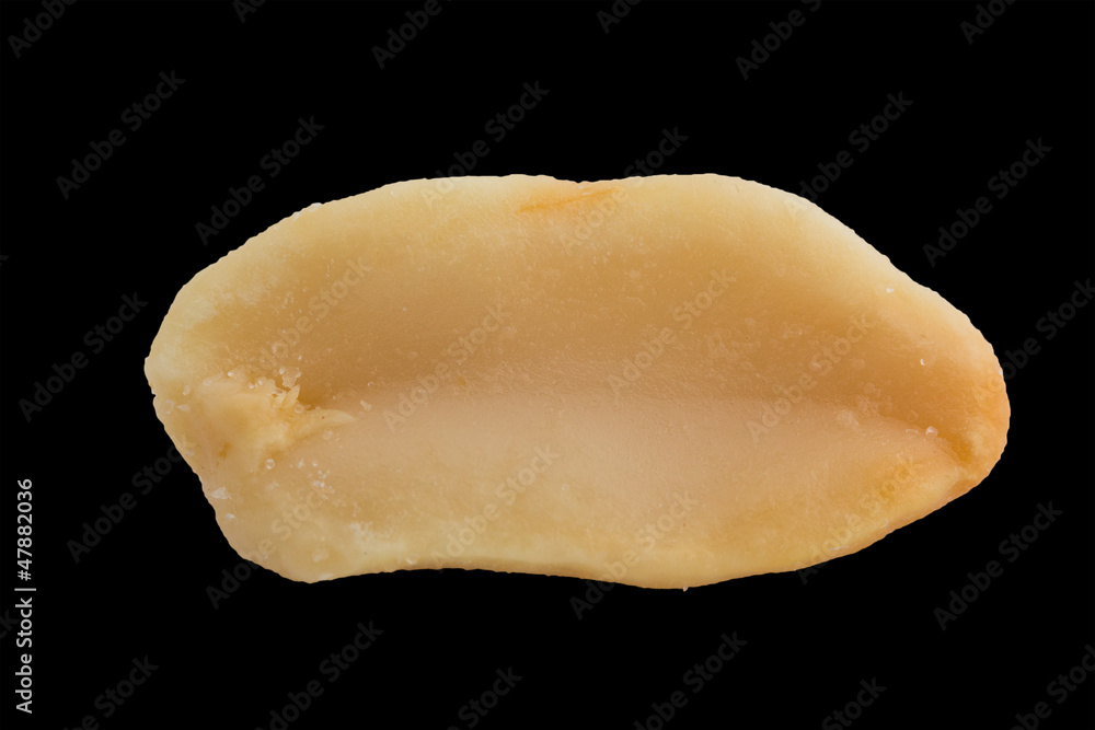 peanut on black peanut on black