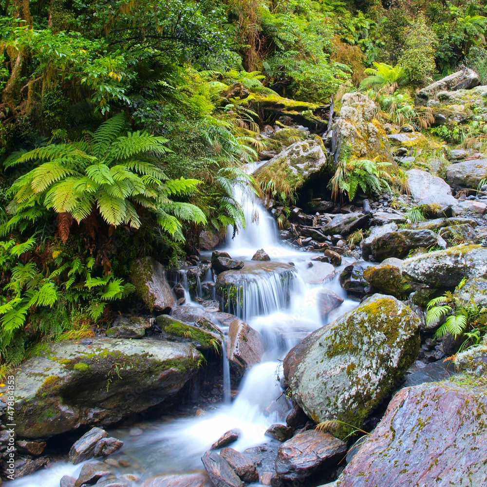 Waterfall in lush rain forest