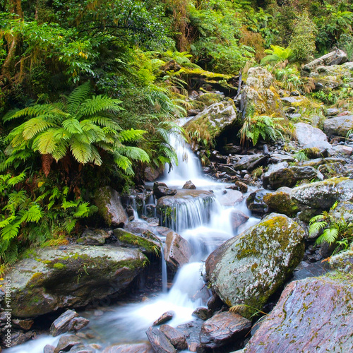 Waterfall in lush rain forest