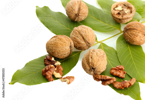 walnuts with green leaves, isolated on white