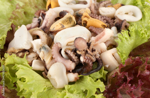 Healthy Seafood Salad with shrimps,octopus and mussels,squids