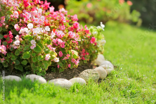 Photography Pretty manicured flower garden with red flowers