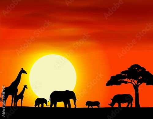 Africa safari landscape background