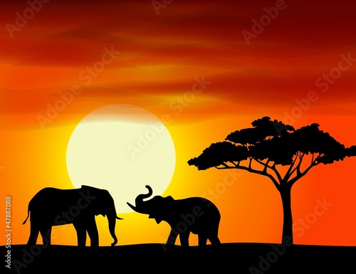 Africa landscape background with elephant © matamu