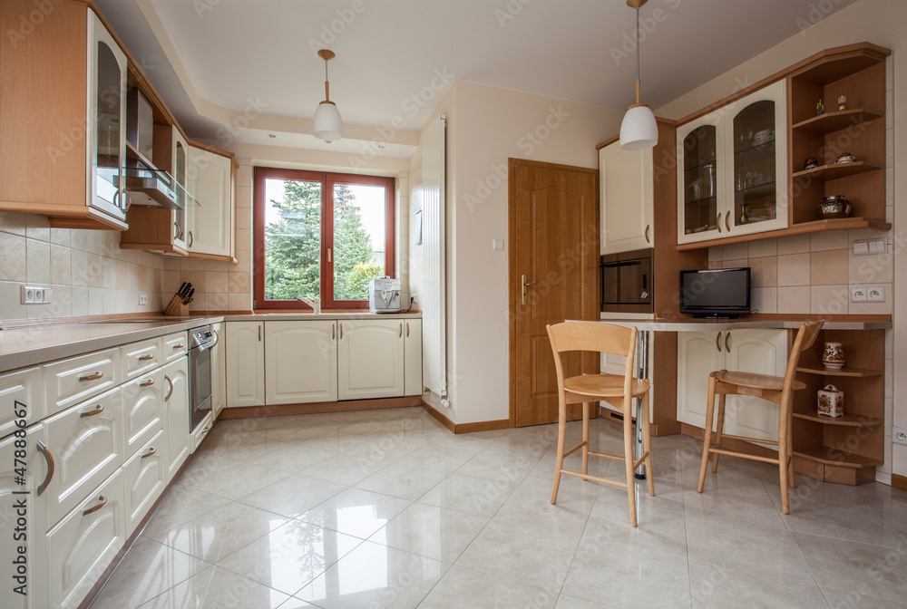 Traditional kitchen