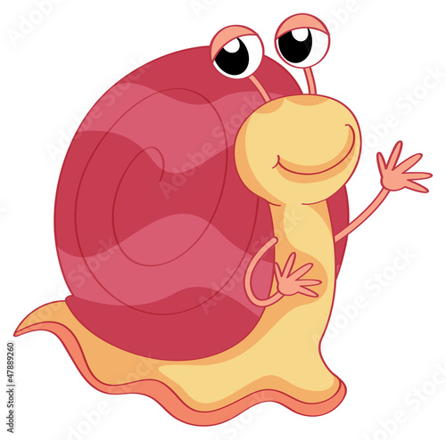 A pink color snail