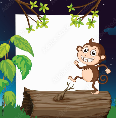 A monkey and a white board