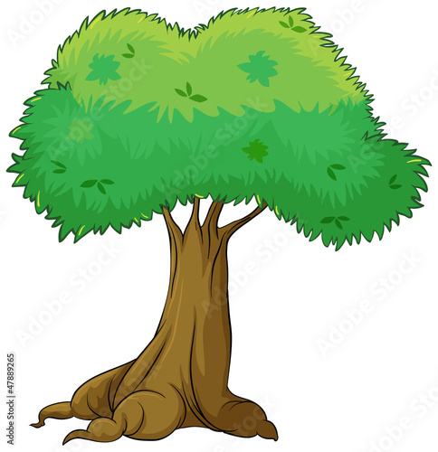 A tree