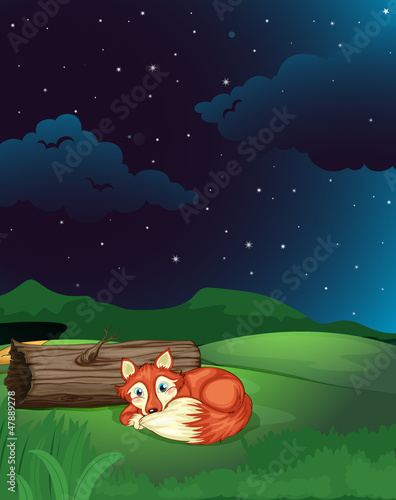 A fox lies next to wood in night