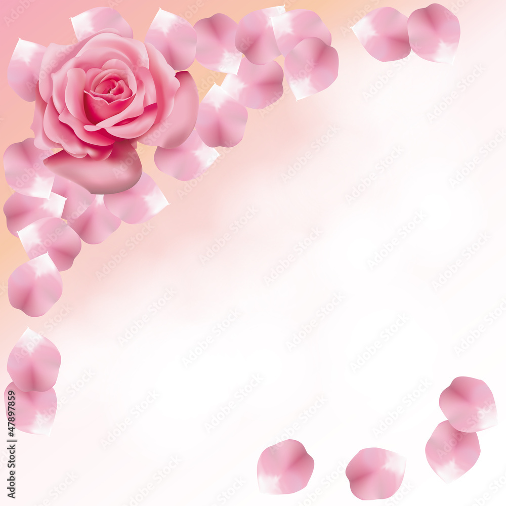 Pink roses and petals background