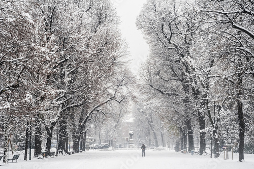 winter snowy landscape