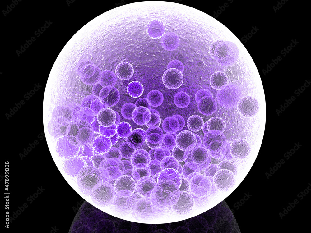 mauve cells under microscope mauve cells under microscope