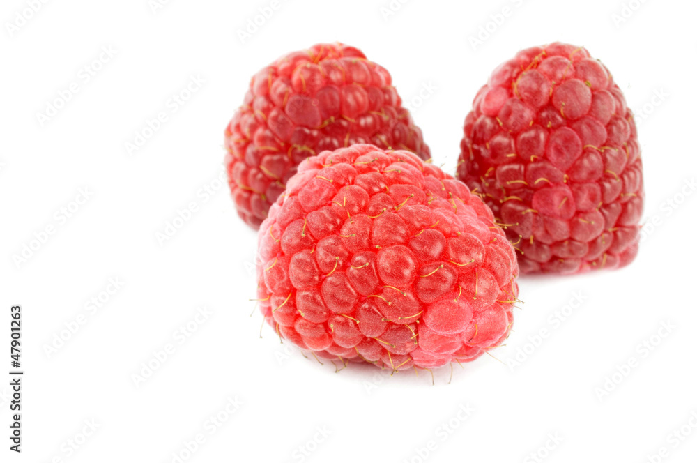 rasberries rasberries