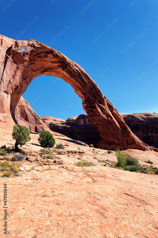 vertical view of Corona Arch
