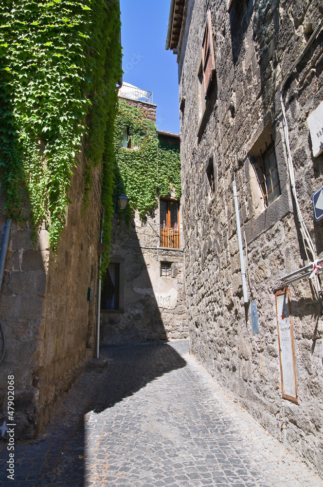 Obraz premium Alleyway. Viterbo. Lazio. Italy.