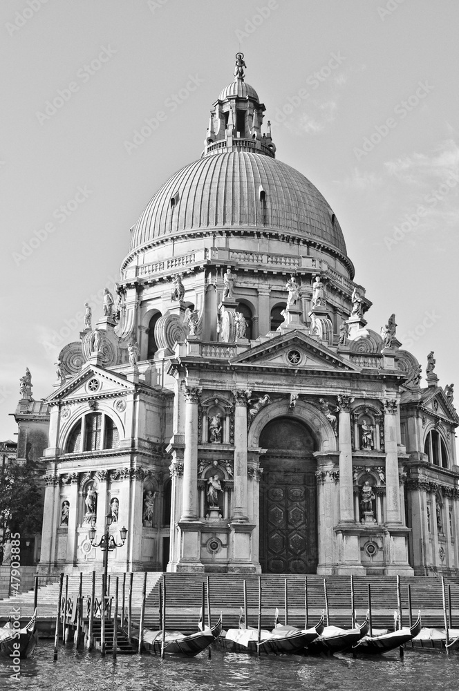 Santa Maria della Salute Venice
