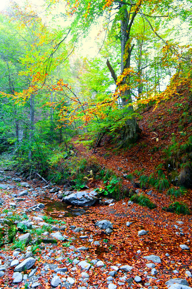 Photo of an autumn landscape