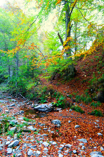 Photo of an autumn landscape © Mihai M