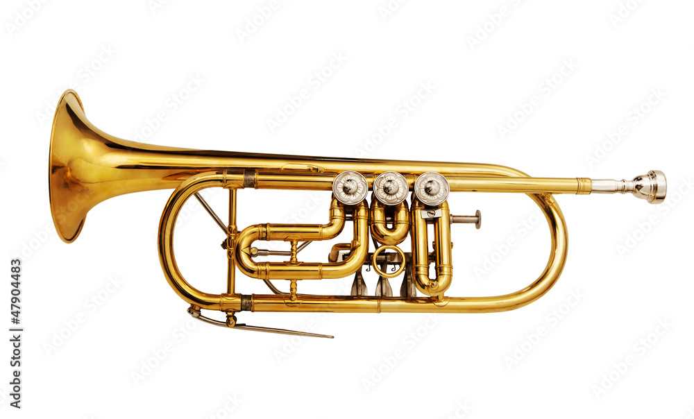 Fototapeta premium Brass