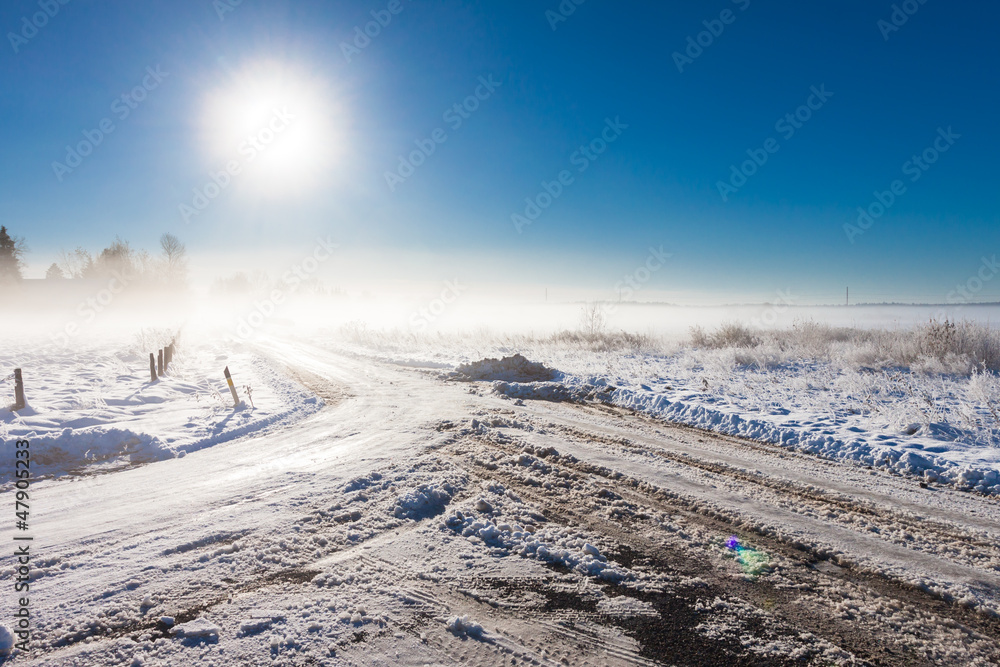 Obraz premium winter landscape at fog with road