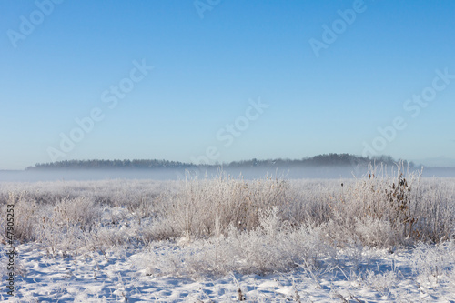 Winter foggy field