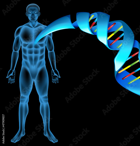 Deoxyribonucleic acid