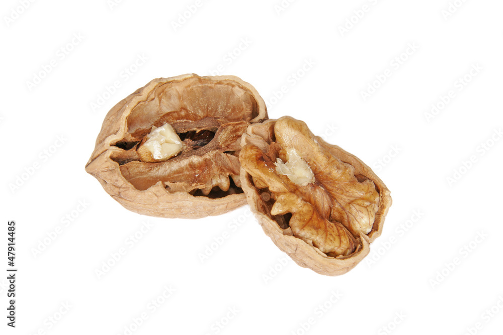 Nut Nut
