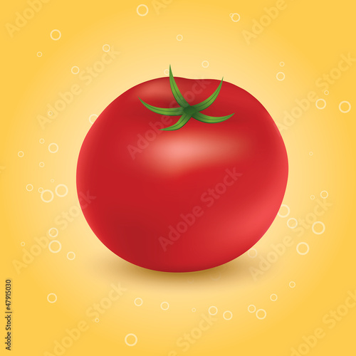 Red ripe tomato on a orange background