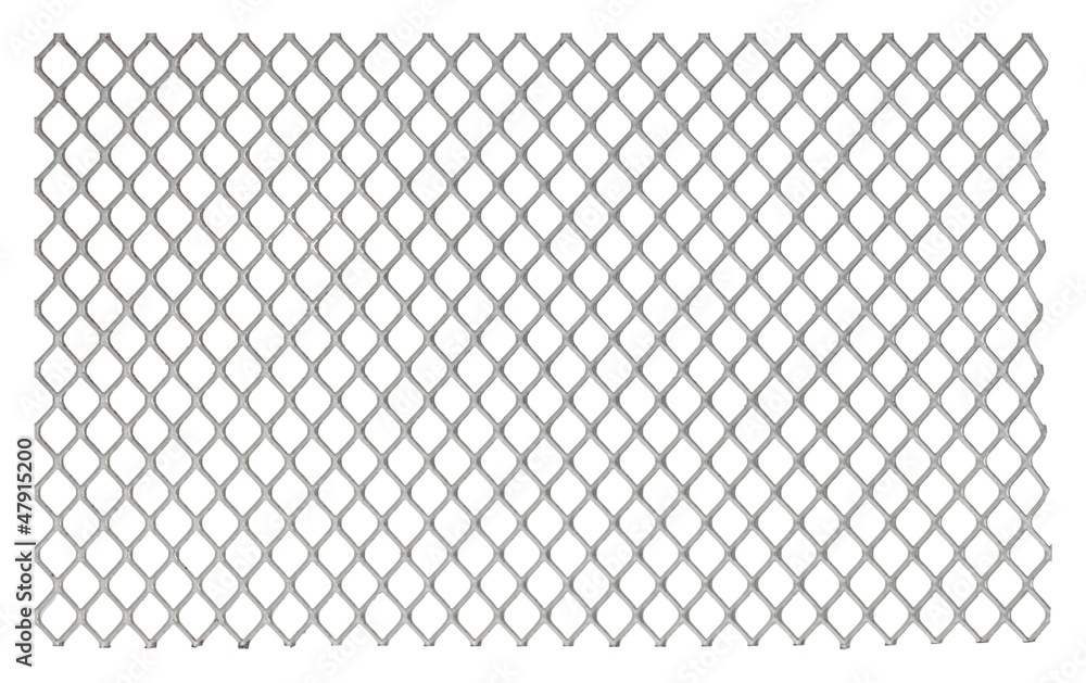 Fototapeta premium Net