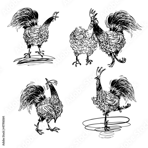 Roosters and a Hen black and white