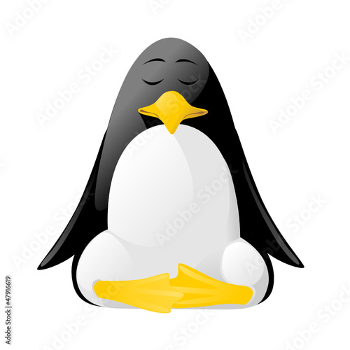 pinguino in meditazione